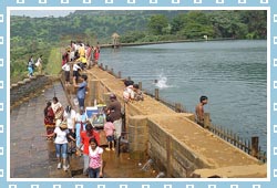 Bhushi Lake, Khandala