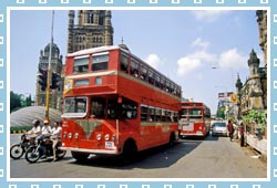 Mumbai Buses